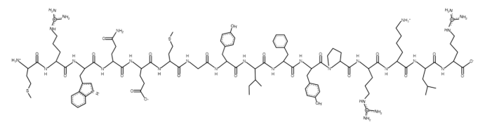MOTS-c peptide structure